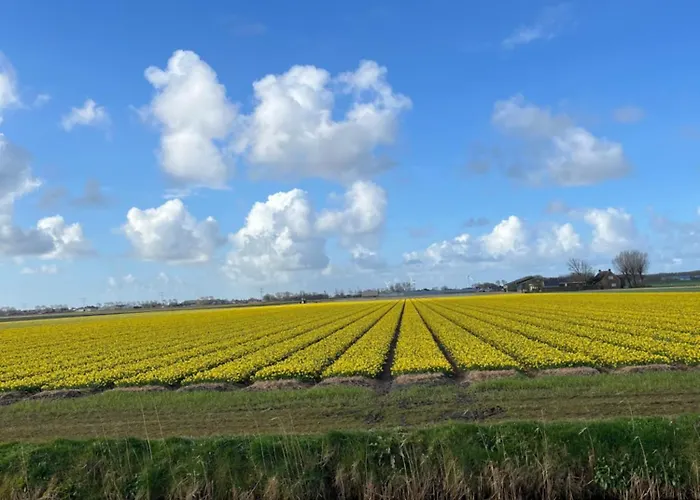 Eilantgeluk 度假居